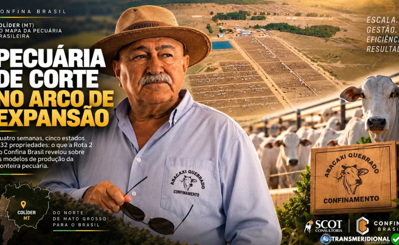 Flavio-Martins-Simone-Portal-JVC