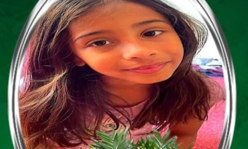 Heloisa-ok-Portal-JVC