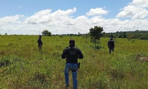 Homicidio-de-casal-na-frente-do-filho-foi-motivado-por