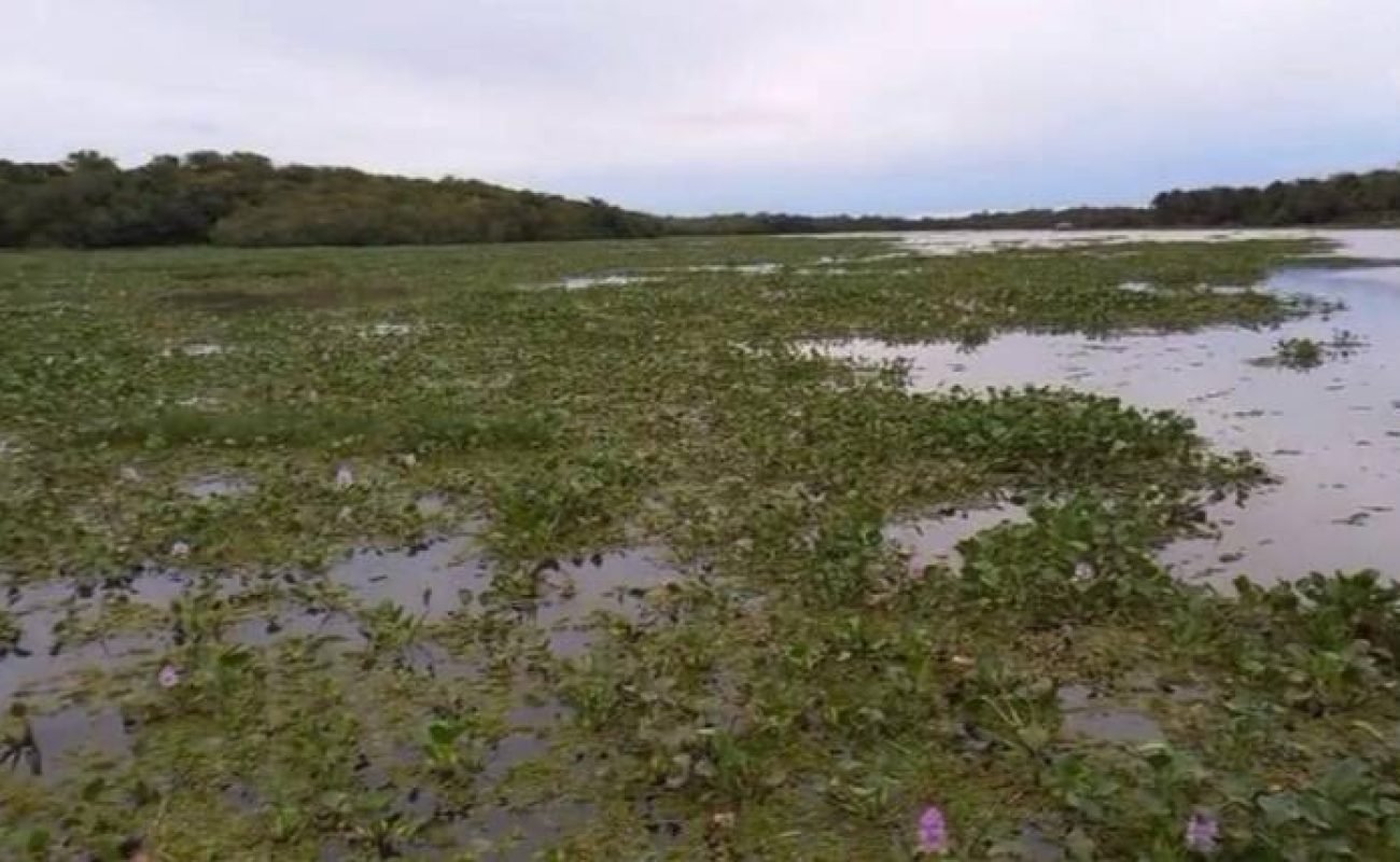 Igarapes-no-Lago-Romancini-em-Lucas-Portal-JVC