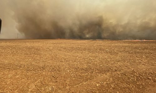 Incendio-em-lavouras-em-Lucas-do-Rio-Verde-Portal-JVC