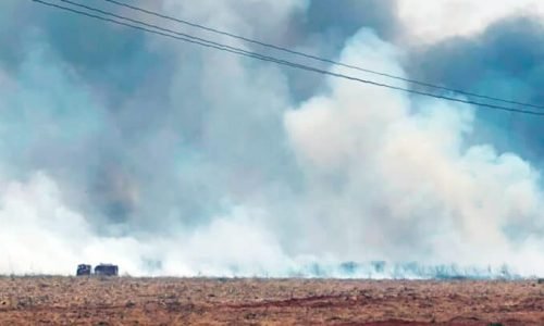 Incendio-pastagem-Lucas-do-Rio-Verde-1-setembro-2024-assessoria-696x410-1