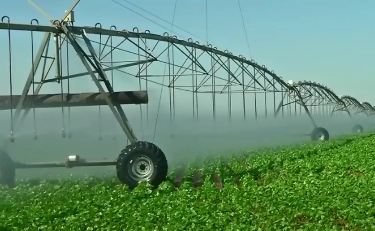 Irrigacao-de-feijao-JVC