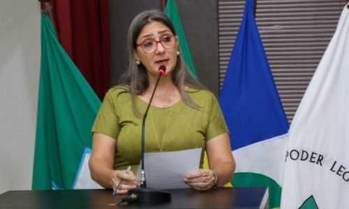 Marcia-Botin-do-Sintep-Portal-JVC