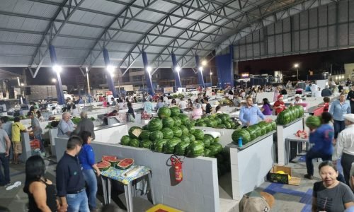 Mercado-do-Produtor-Luiz-Alberto-Techio-JVC