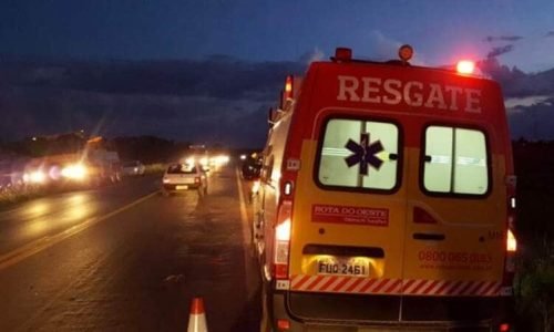 Onca-e-atropelada-na-BR-163-em-Lucas-do-Rio-Verde-ocupantes-de-veiculo-saem-ilesos