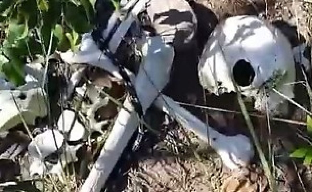 Ossada-humana-ok-Portal-JVC