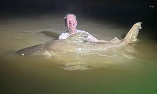 Pescador-Sandro-pega-Piraiba-gigante-Portal-JVC
