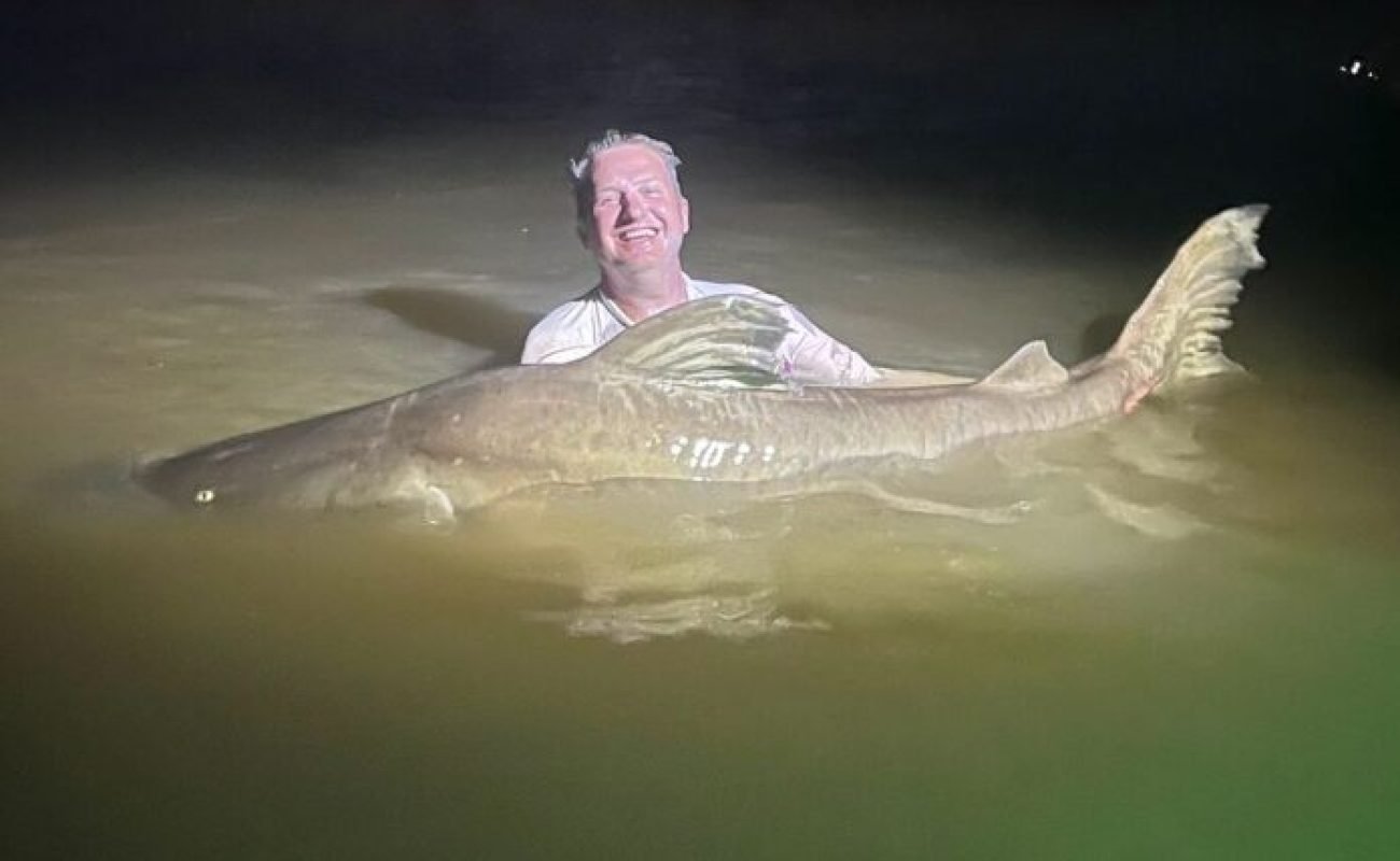 Pescador-Sandro-pega-Piraiba-gigante-Portal-JVC