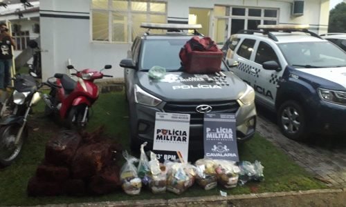 Produtors-de-futos-no-Tesse-Junior-Portal-JVC