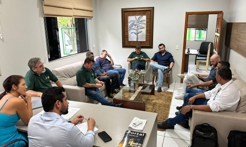 ReuniaoEnergisa
