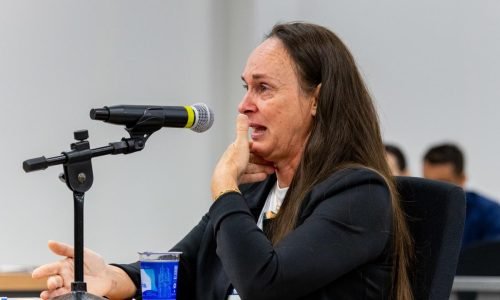 Sandra-Cattani-Portal-JVC