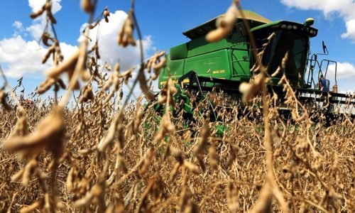 Soja-fase-plantio-e-colheita-38-abril-2023-assessoria-990x556