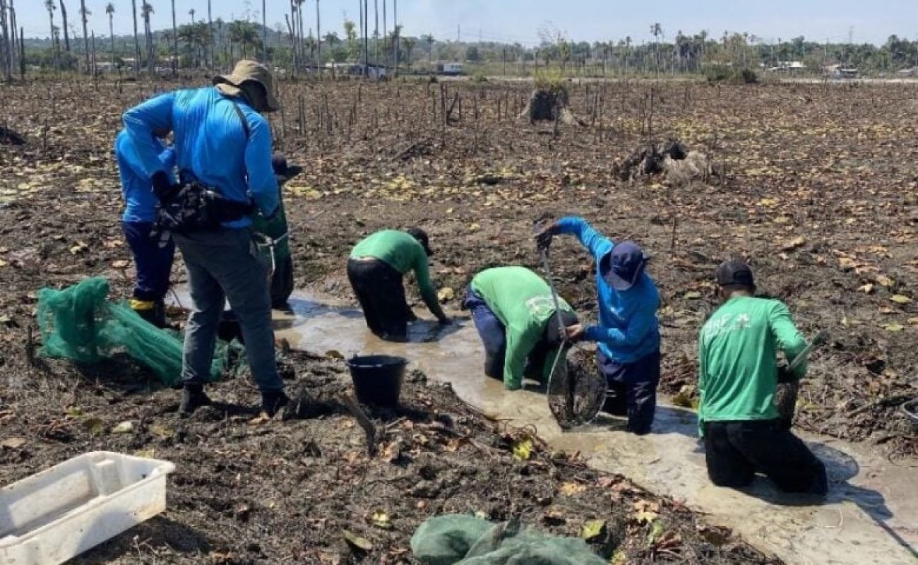Usina-de-Colider-pescadores-Portal-JVC