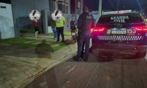 Viatura-Guarda-Civil-Lucas-em-Acao-Portal-JVC