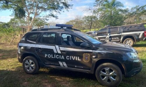 Viaturas-da-Policia-Civil-arbustos-Portal-JVC