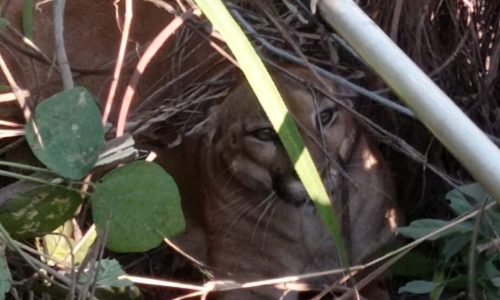 WhatsApp-Image-2023-06-25-at-16.37.51-990x556-1