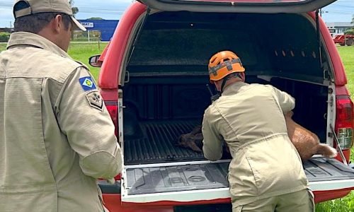 WhatsApp-Image-2023-12-27-at-10.56.43