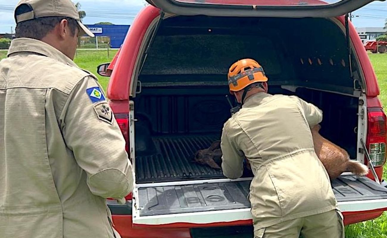 WhatsApp-Image-2023-12-27-at-10.56.43