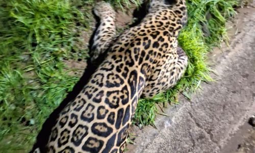 WhatsApp-Image-2025-10-27-at-09.15.38