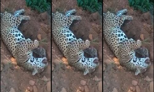 WhatsApp-Image-2026-03-02-at-15.37.10