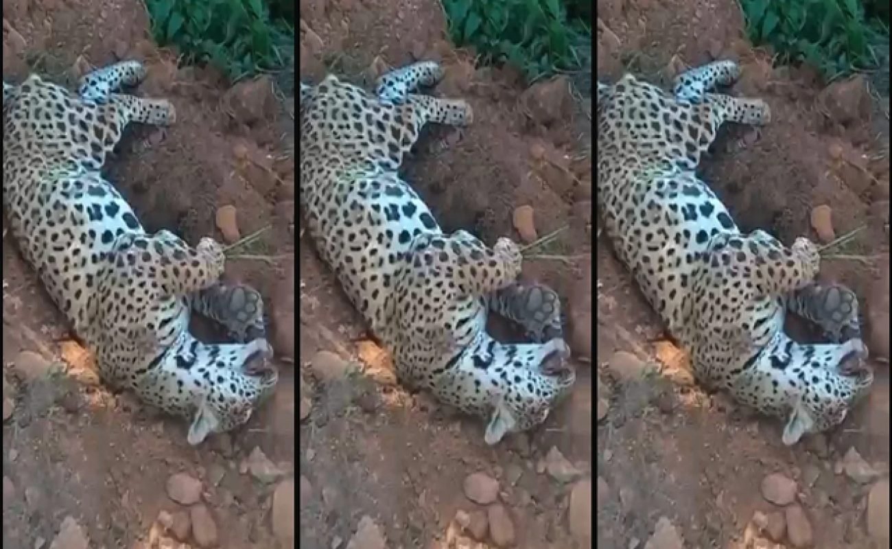 WhatsApp-Image-2026-03-02-at-15.37.10