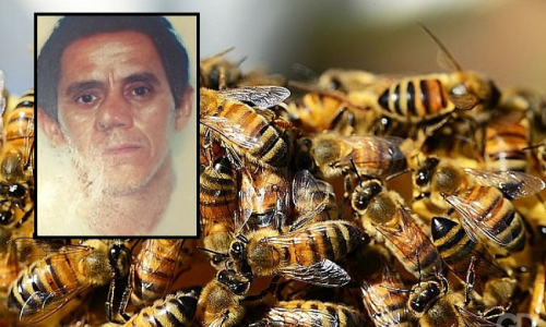 acc17b330fe1933bd29ba764d7ef4897