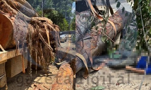 af6ca6d2922f4e452a4320727e6d5c77