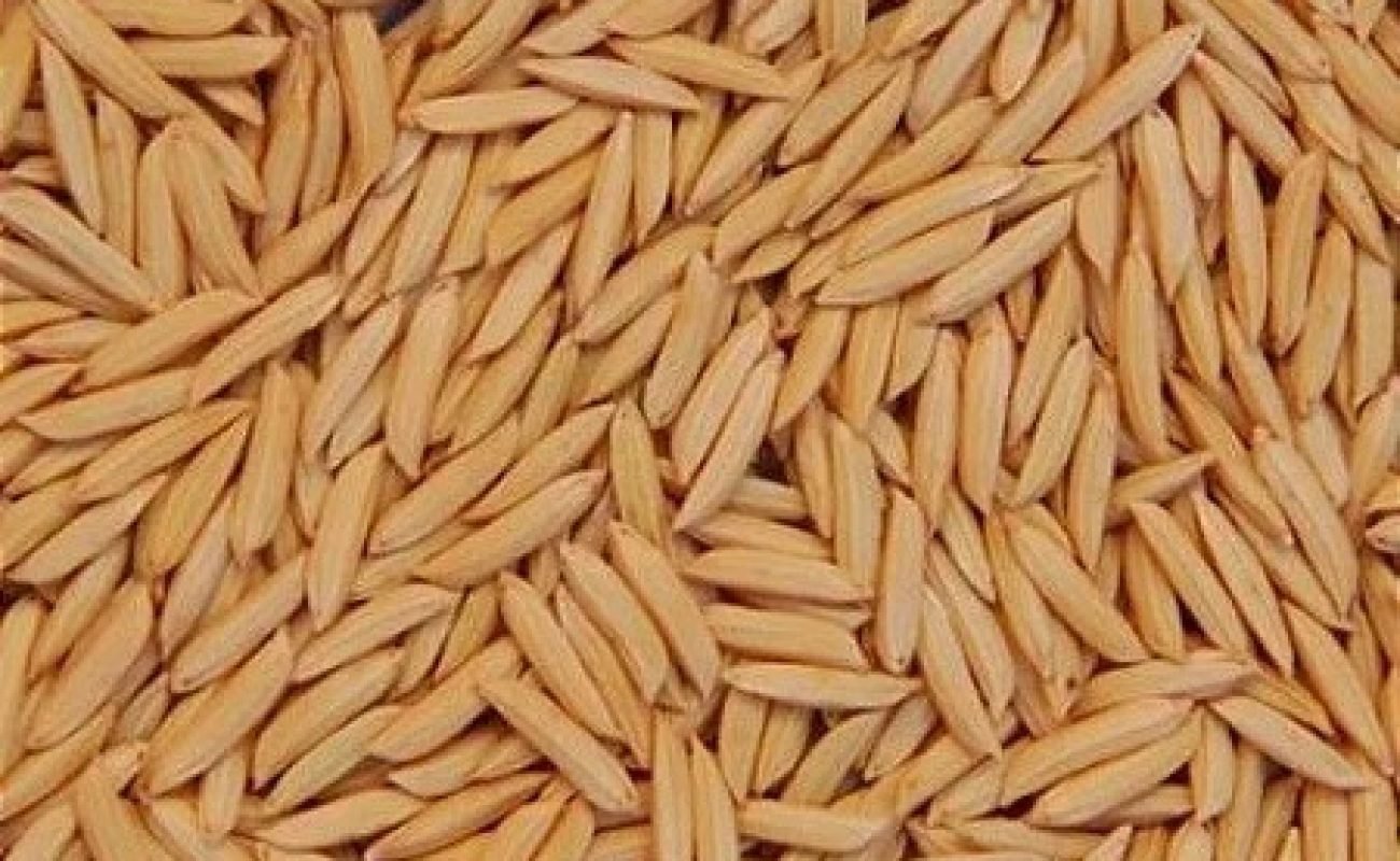 arroz-com-casca-agulha-b83f8b91