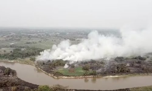 capturar4