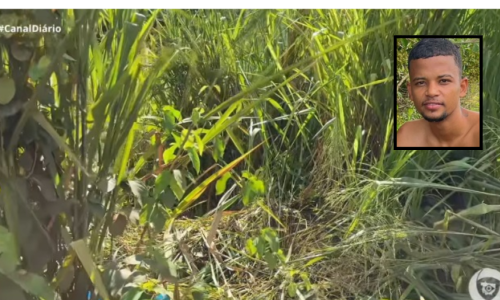 d178d22caf702e6750d1f38919071820