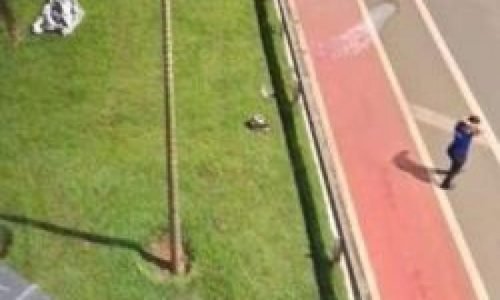 dc0fe18750f3659f5f77cad30d0e8d46-hnt-com-br