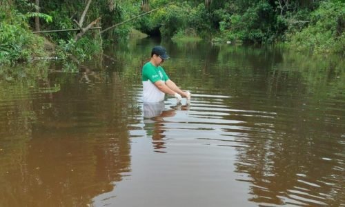 e8e265d543a5a4f58103e5cdc3e7c7df