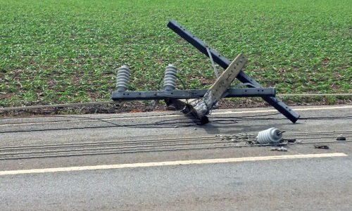 efwergrgrh-1024x687-1