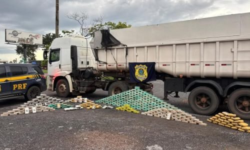 f3132b9104353f88c4e3215affe0a1fe