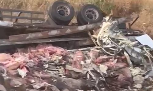 f924dcd200447a3d9c5bdea99872702a