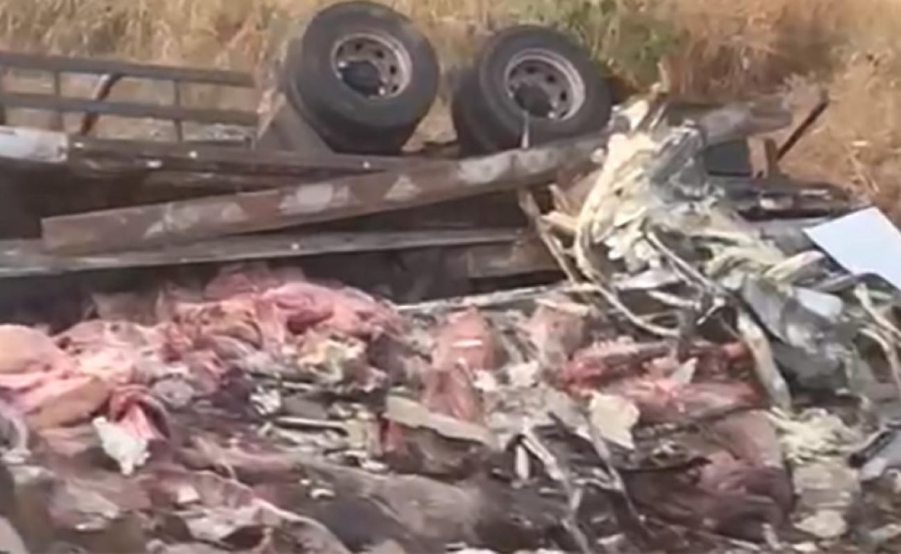 f924dcd200447a3d9c5bdea99872702a