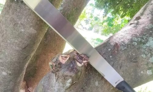 ffb6e5ba57b102e5bdea733b30661f22