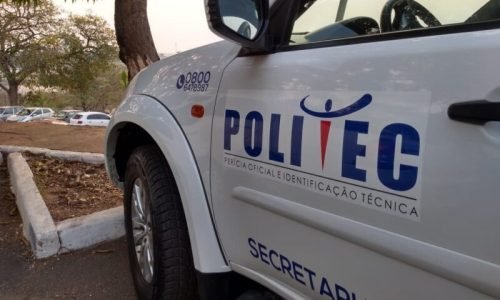 politec-mt-e1722253257433