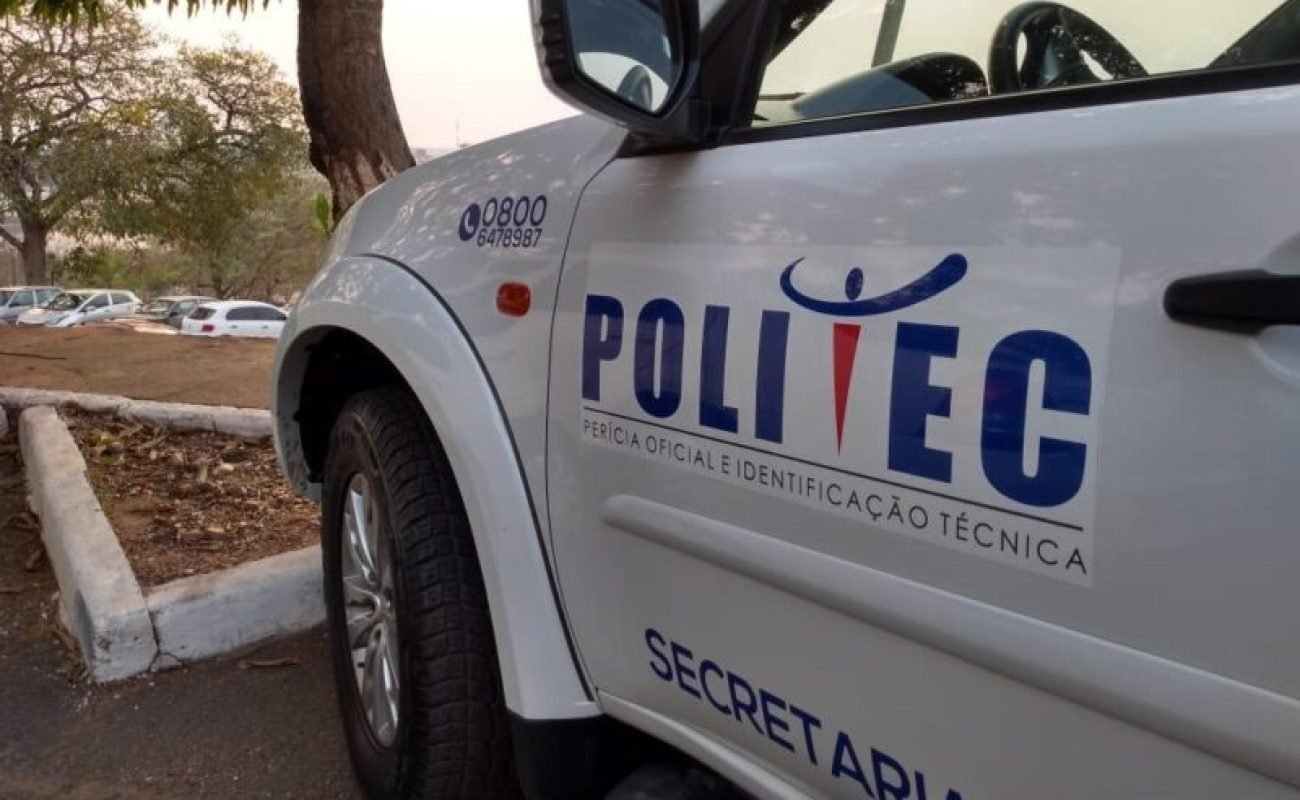 politec-mt-e1722253257433