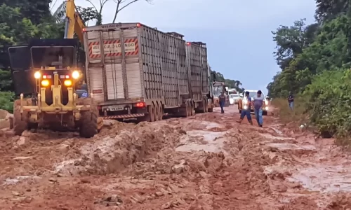 whatsapp-image-2023-03-13-at-12.09.45