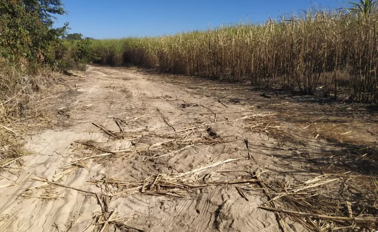 whatsapp-image-2023-07-25-at-13.45.50-1-