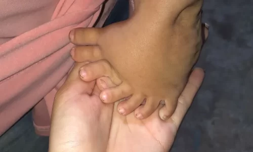 whatsapp-image-2023-08-29-at-10.38.13-1