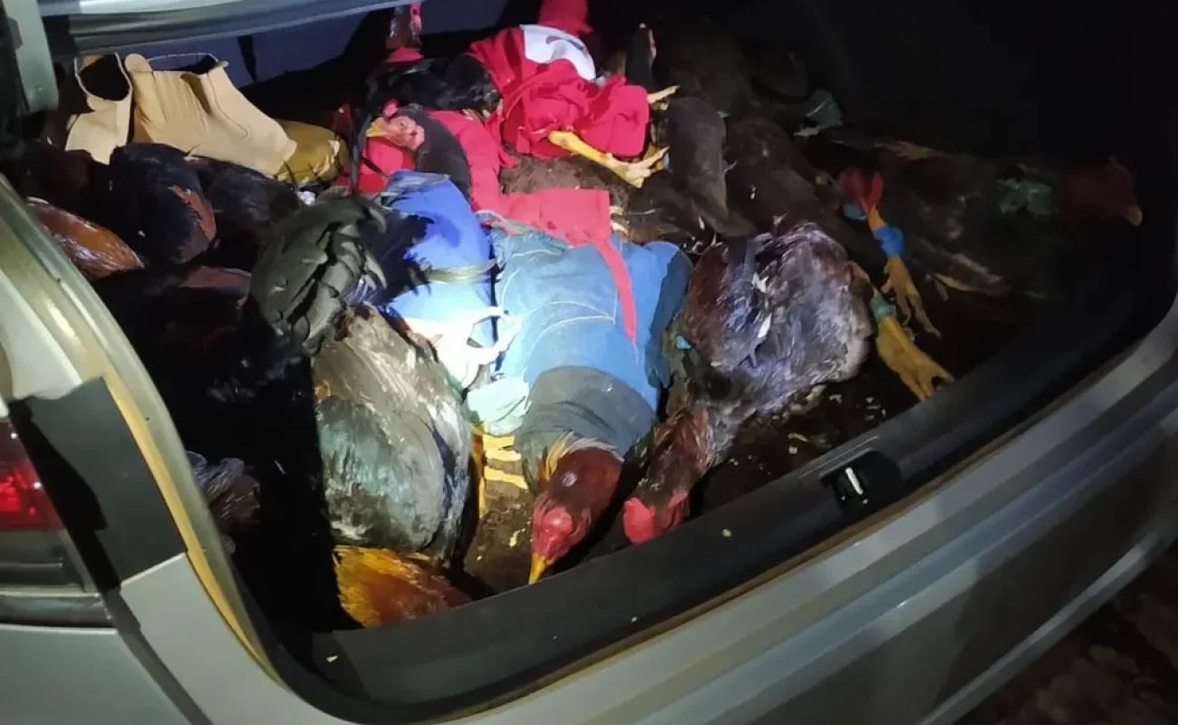 whatsapp-image-2023-09-11-at-15.13.44-1