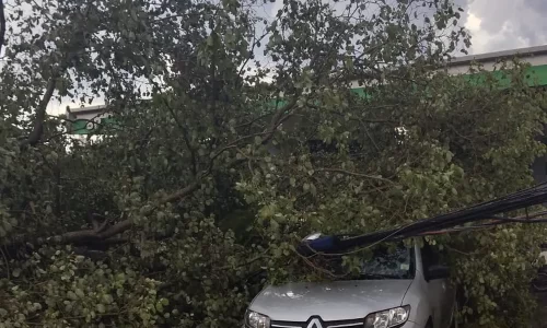 whatsapp-image-2023-12-07-at-17.23.08