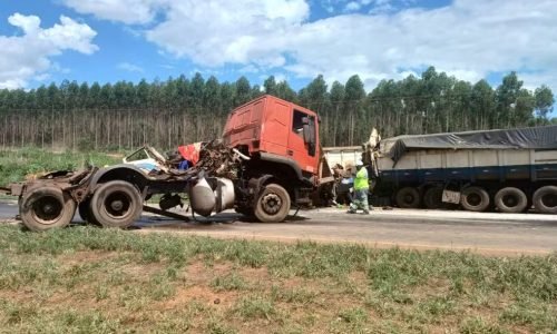 whatsapp-image-2026-01-24-at-13.39.05-1-