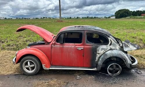 whatsapp-image-2026-02-28-at-17.33.26