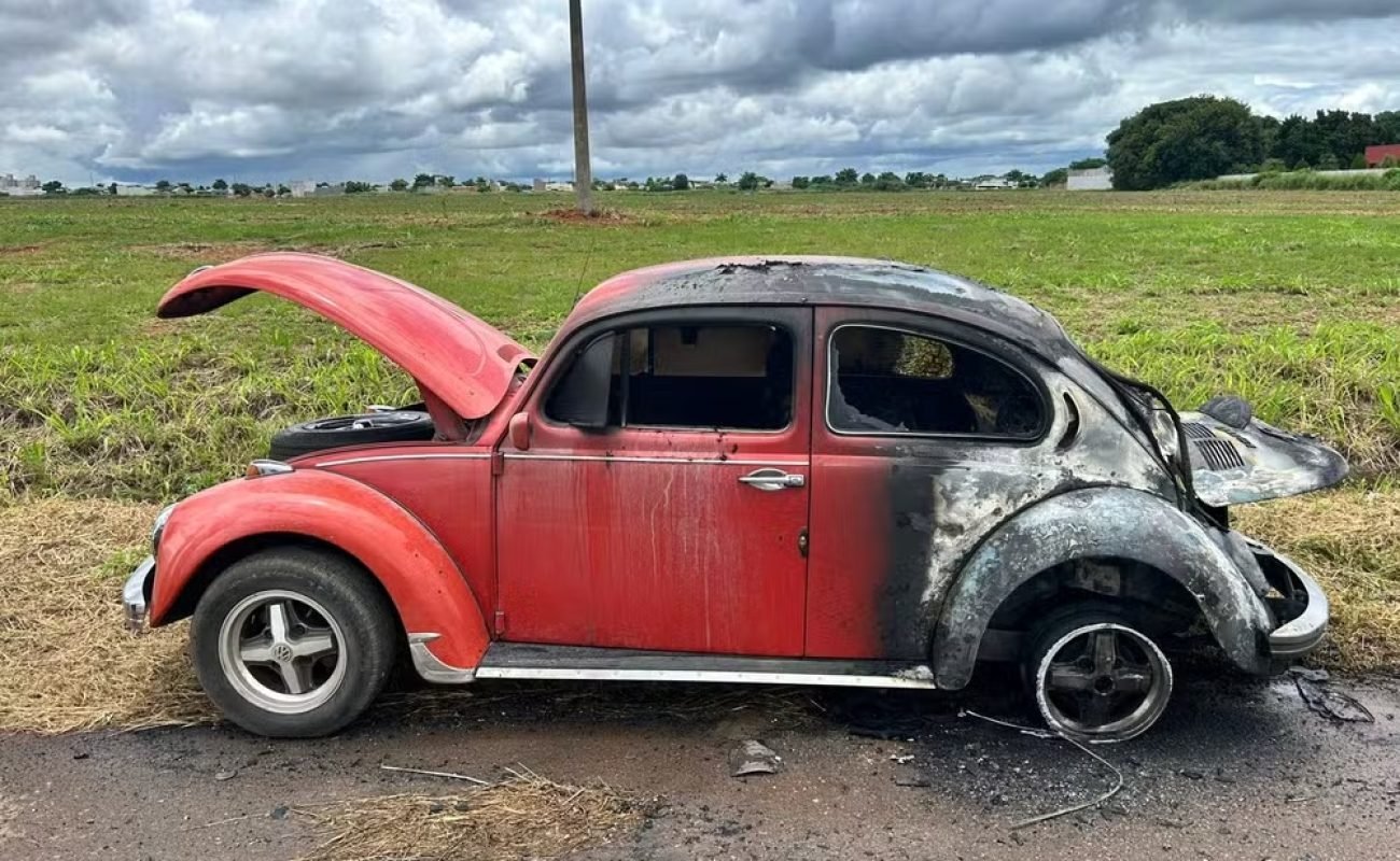 whatsapp-image-2026-02-28-at-17.33.26